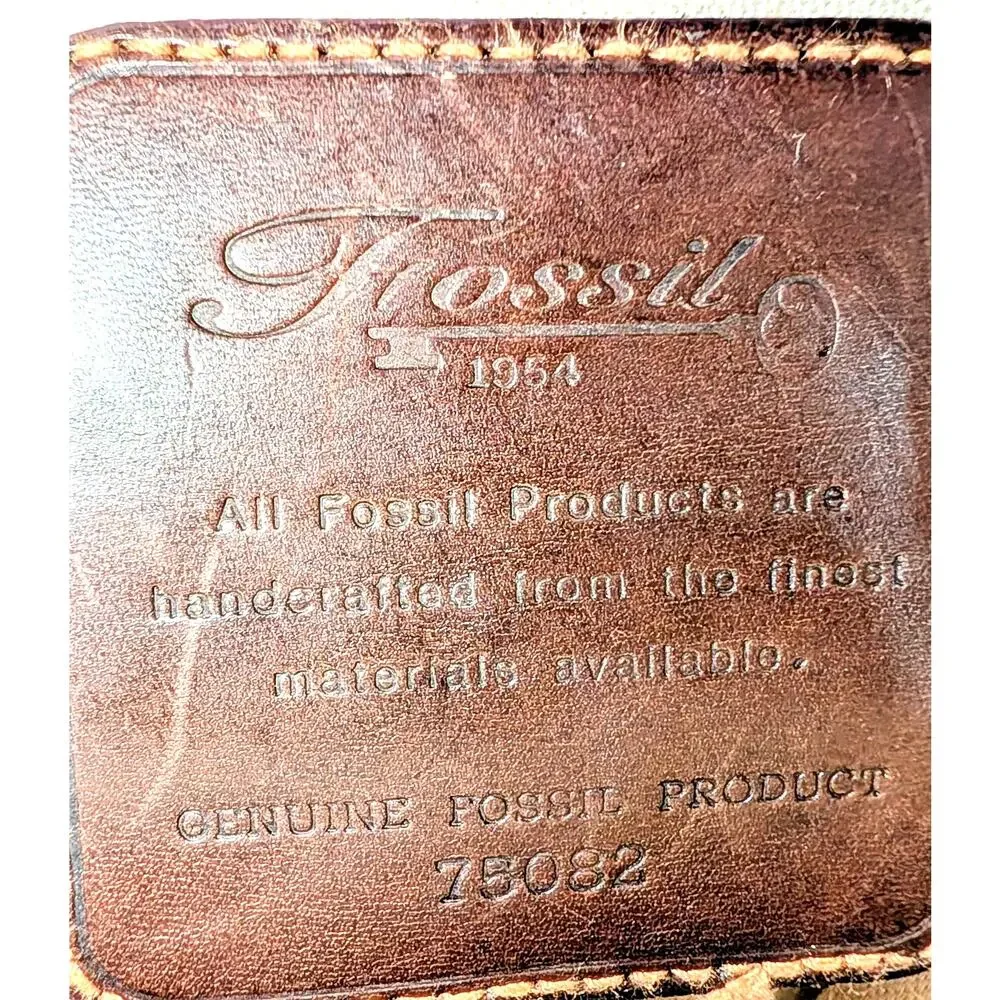 Fossil 11 inches